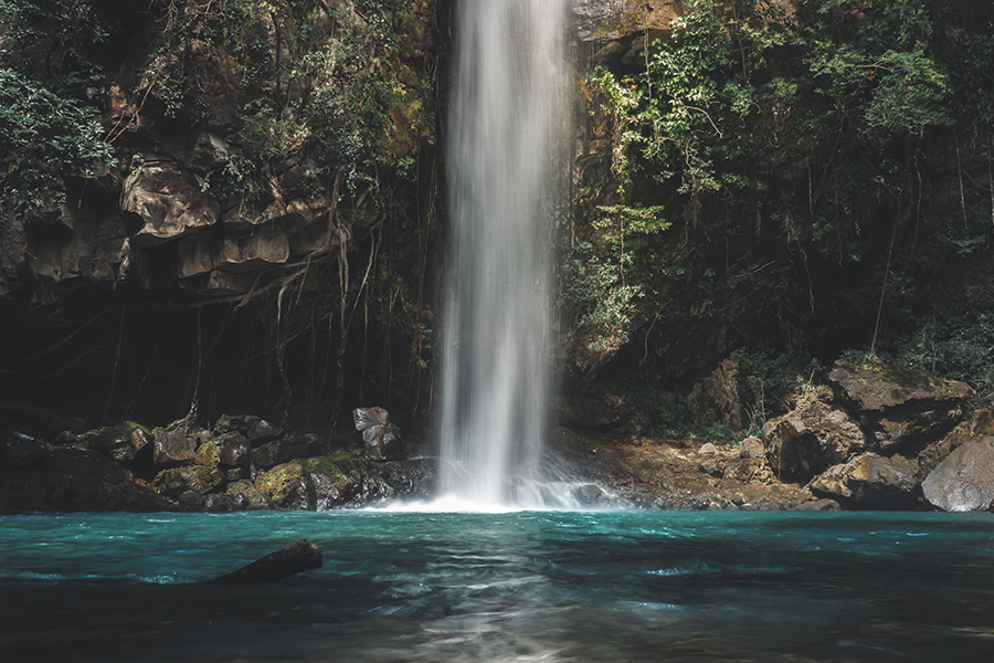 Amazing Nature