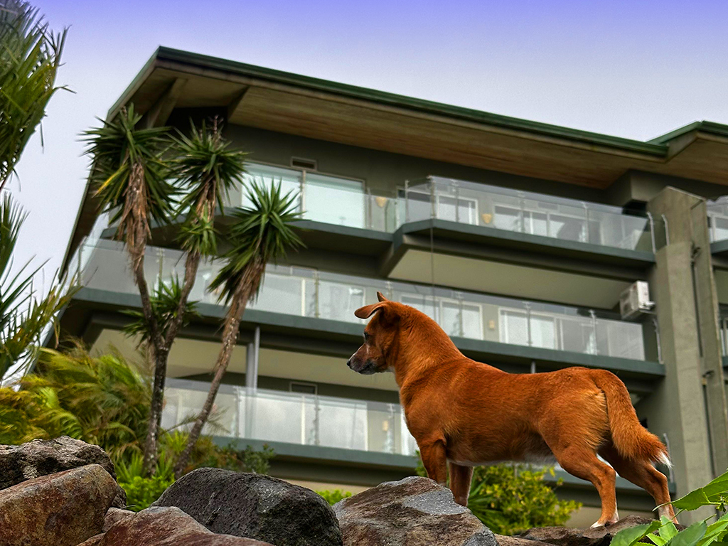 condo vs house lake arenal costa rica